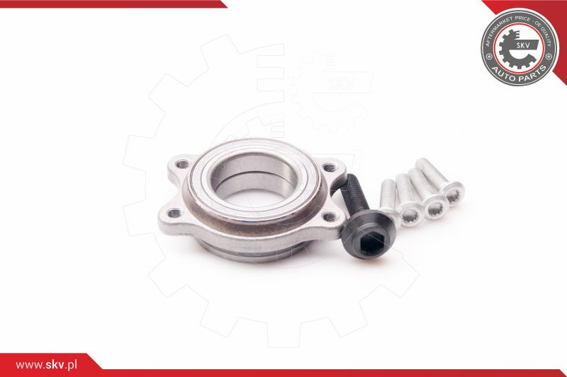 ESEN SKV Radlagersatz