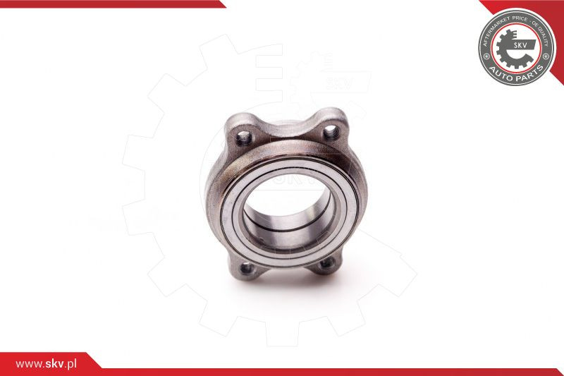 ESEN SKV Radlagersatz