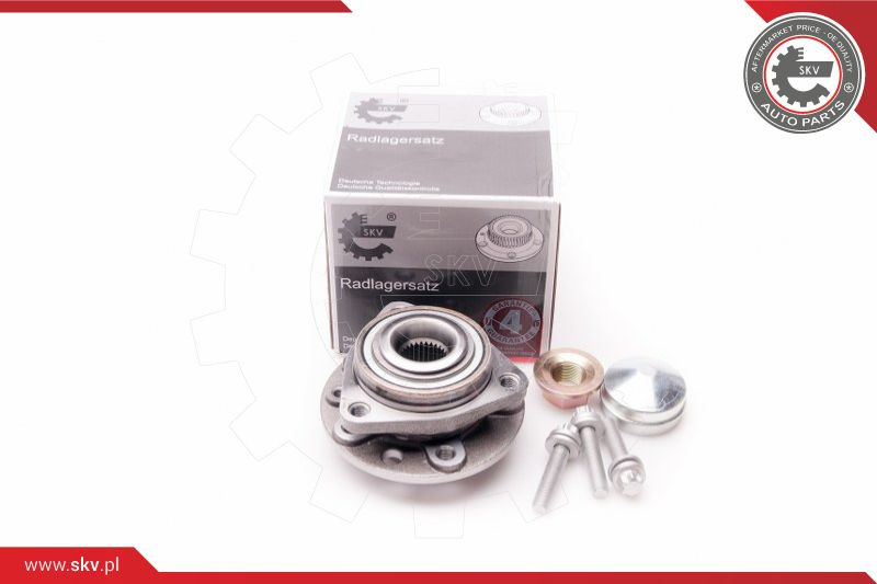 ESEN SKV Radlagersatz