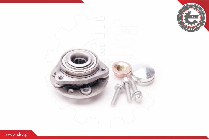 ESEN SKV Radlagersatz