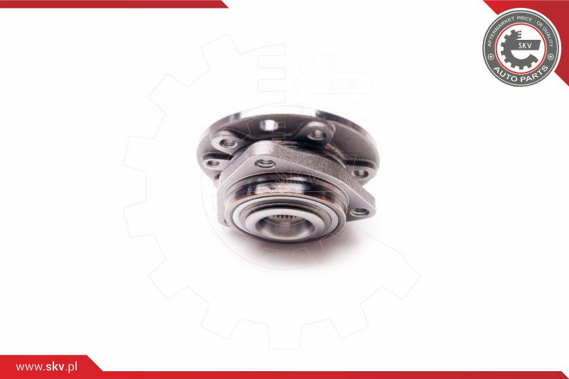 ESEN SKV Radlagersatz