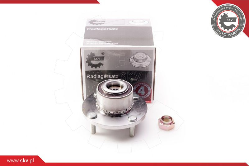 ESEN SKV Radlagersatz