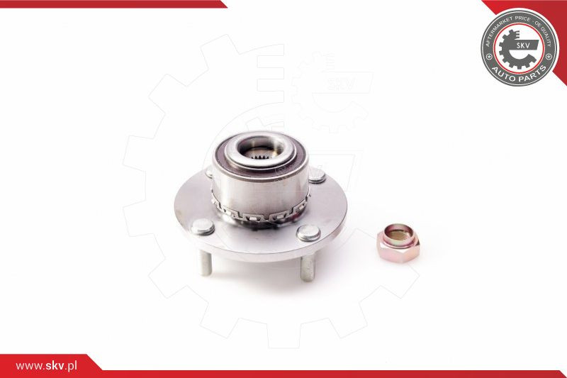 ESEN SKV Radlagersatz