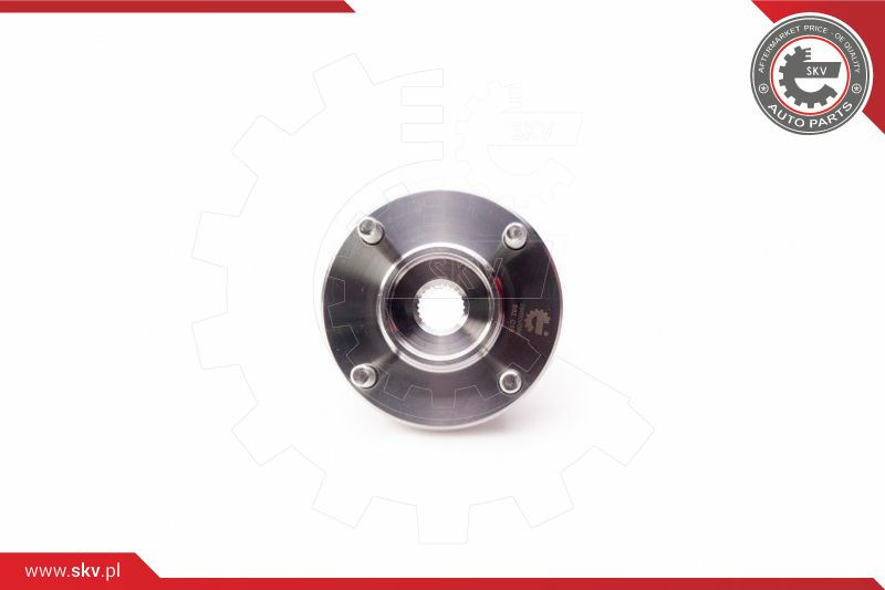 ESEN SKV Radlagersatz