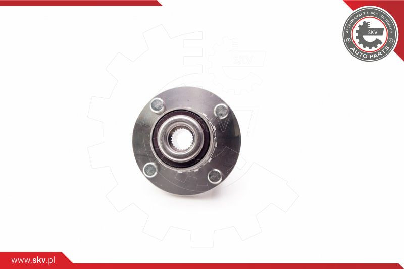 ESEN SKV Radlagersatz