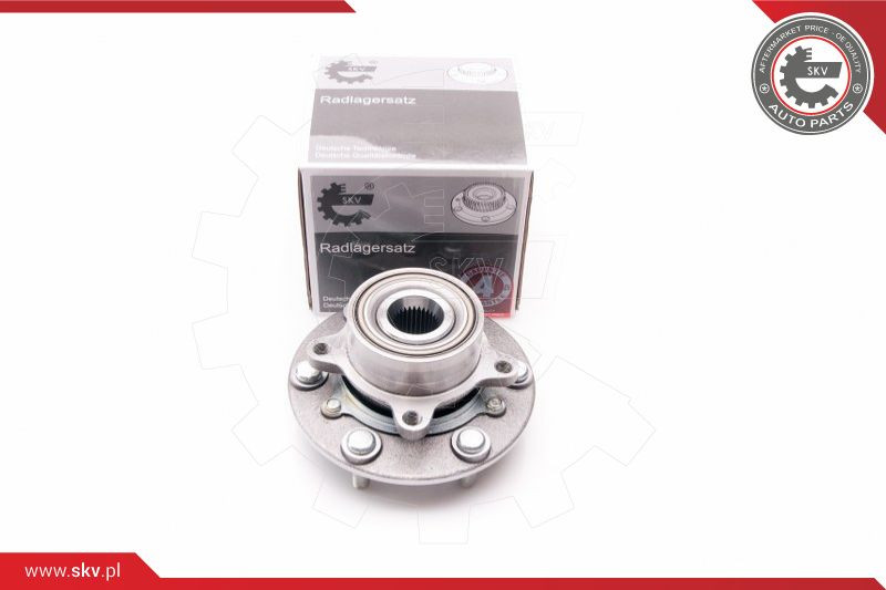 ESEN SKV Radlagersatz
