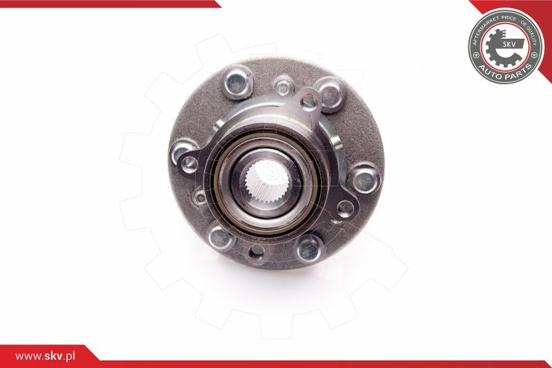 ESEN SKV Radlagersatz