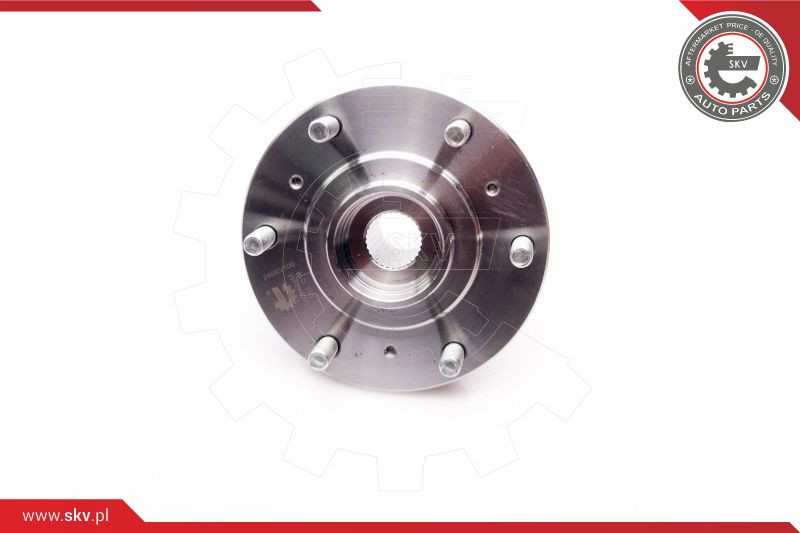 ESEN SKV Radlagersatz