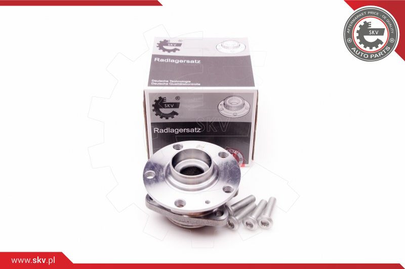 ESEN SKV Radlagersatz