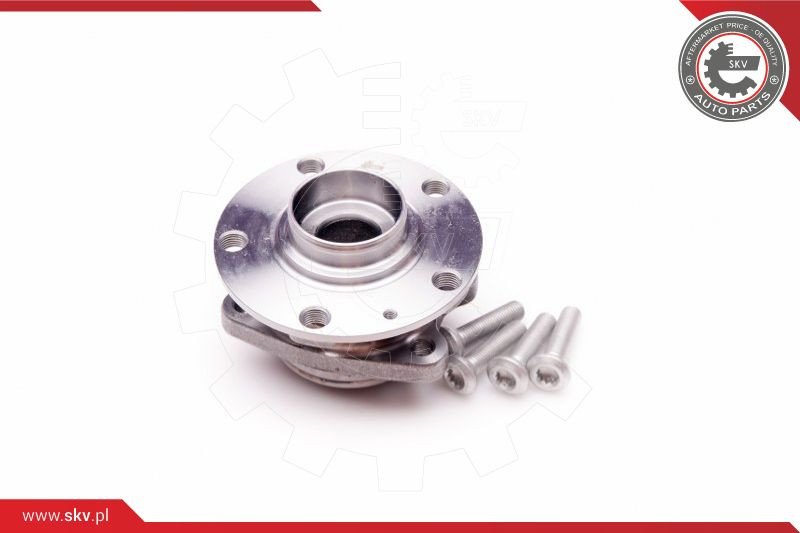 ESEN SKV Radlagersatz