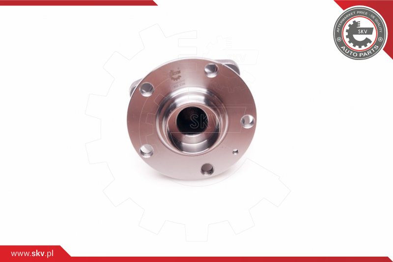 ESEN SKV Radlagersatz