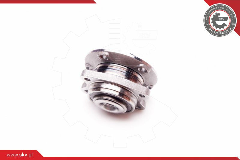 ESEN SKV Radlagersatz