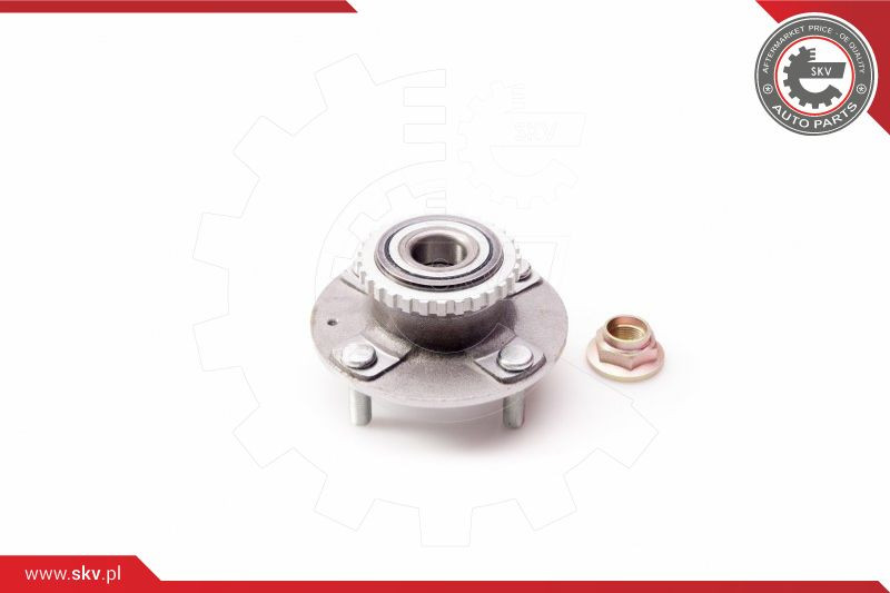 ESEN SKV Radlagersatz