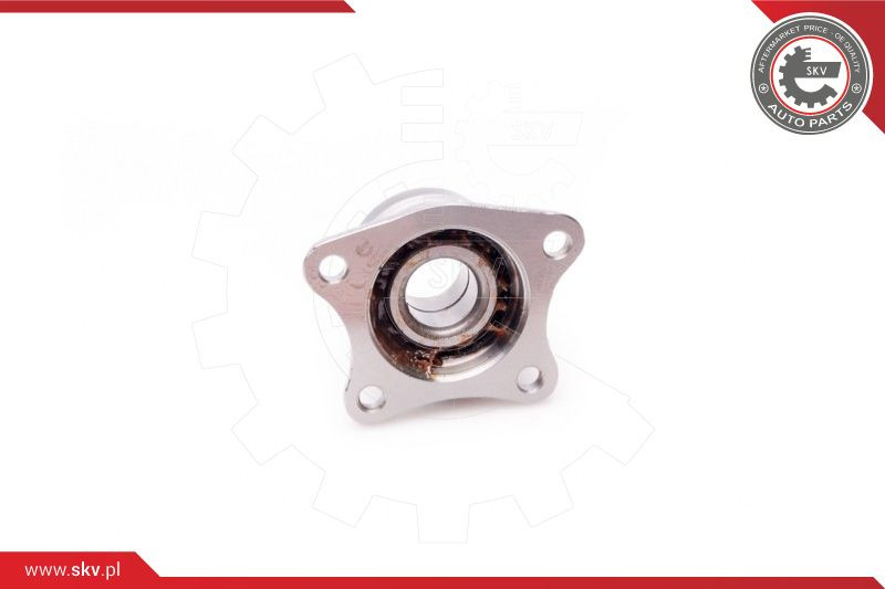 ESEN SKV Radlagersatz