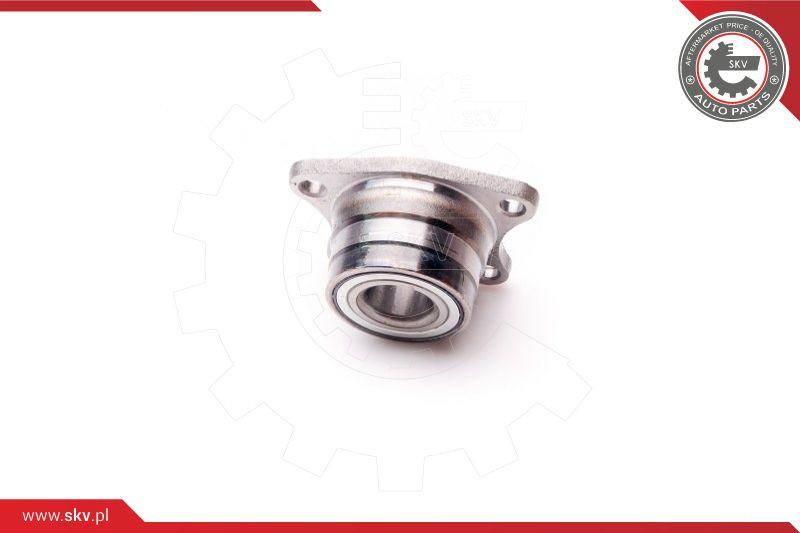 ESEN SKV Radlagersatz