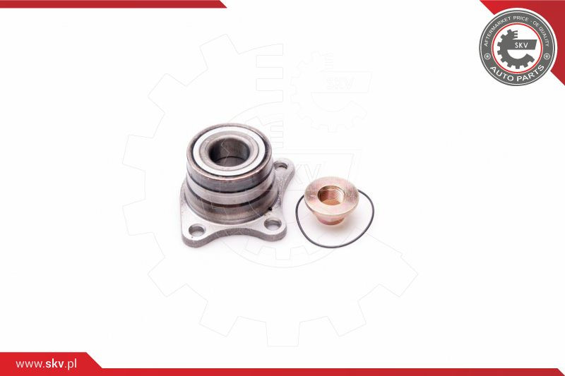 ESEN SKV Radlagersatz