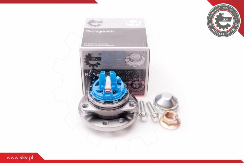 ESEN SKV Radlagersatz