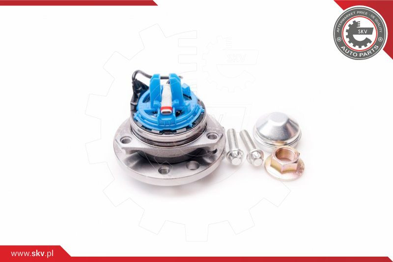 ESEN SKV Radlagersatz