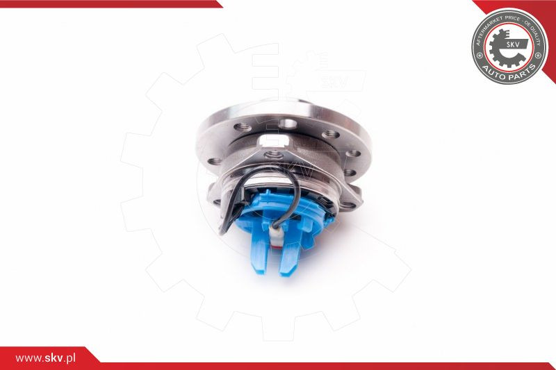 ESEN SKV Radlagersatz