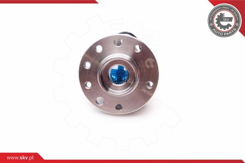 ESEN SKV Radlagersatz