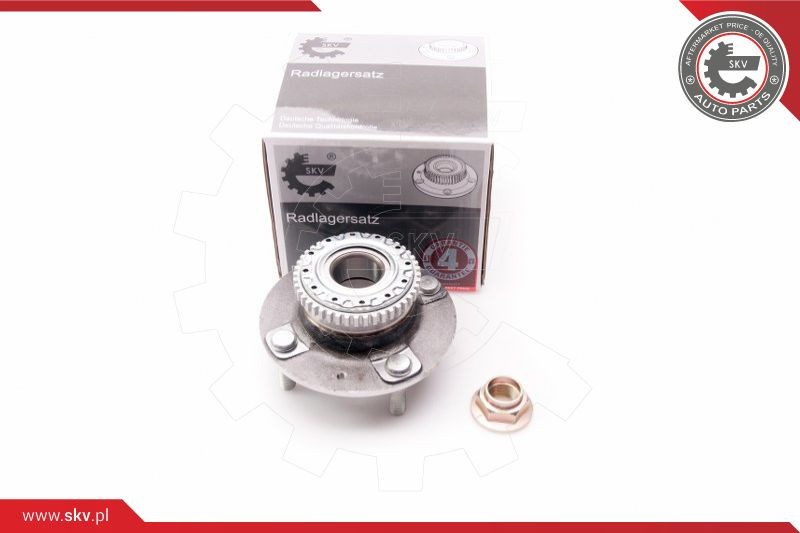ESEN SKV Radlagersatz