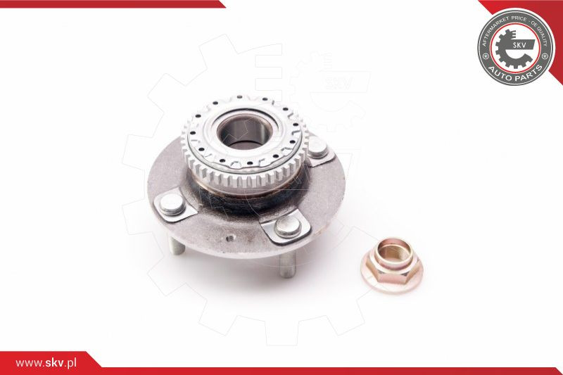 ESEN SKV Radlagersatz