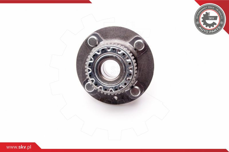 ESEN SKV Radlagersatz