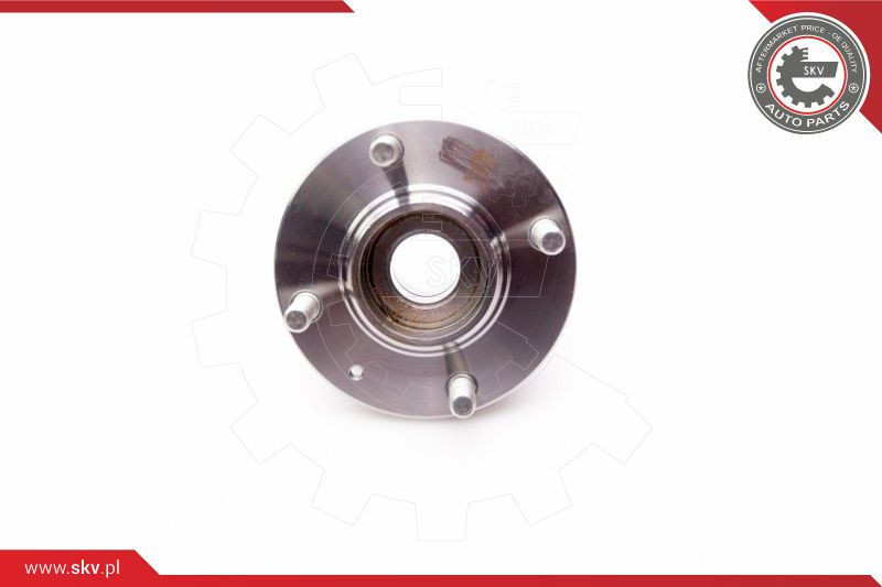 ESEN SKV Radlagersatz