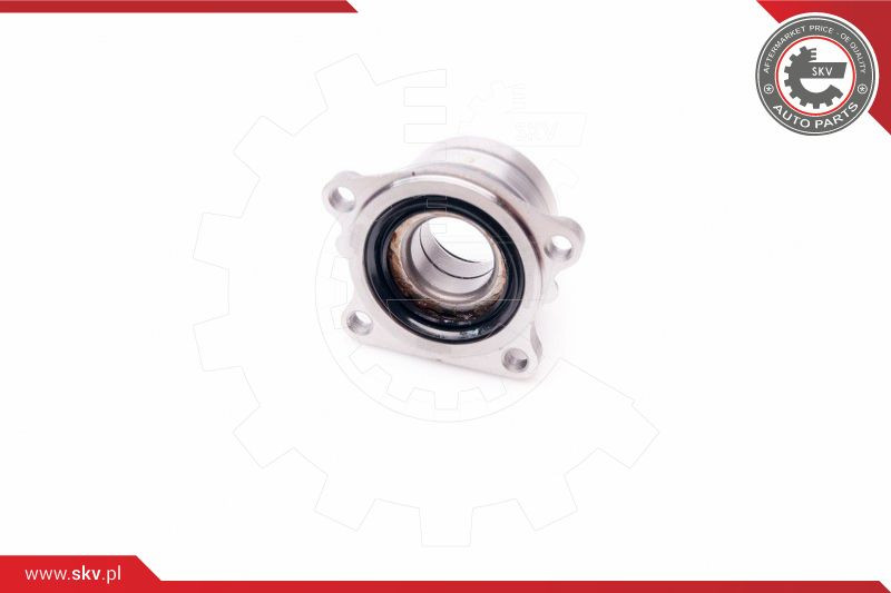 ESEN SKV Radlagersatz