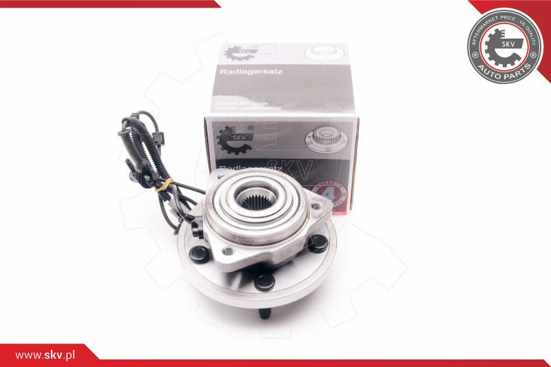 ESEN SKV Radlagersatz