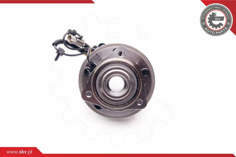 ESEN SKV Radlagersatz