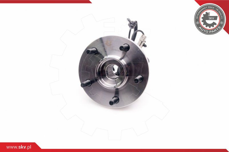 ESEN SKV Radlagersatz