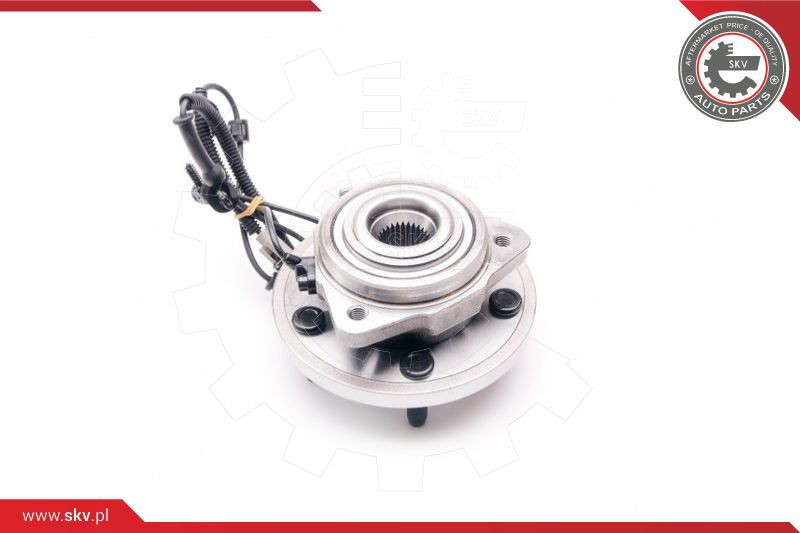 ESEN SKV Radlagersatz