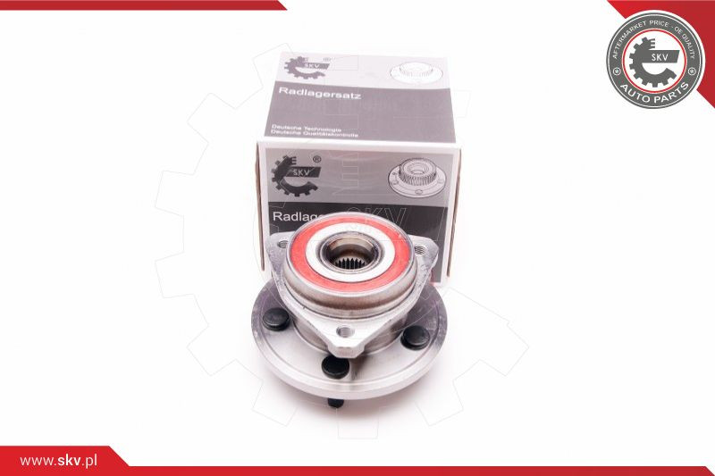 ESEN SKV Radlagersatz