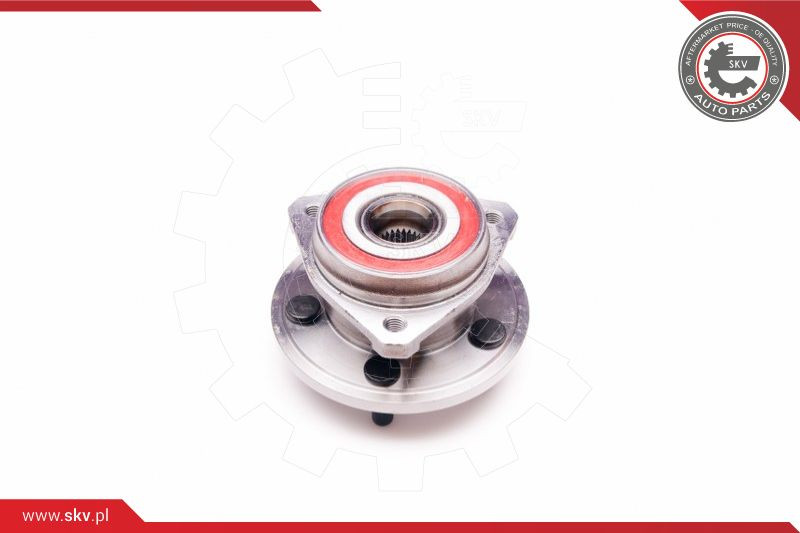 ESEN SKV Radlagersatz