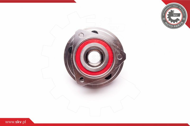 ESEN SKV Radlagersatz