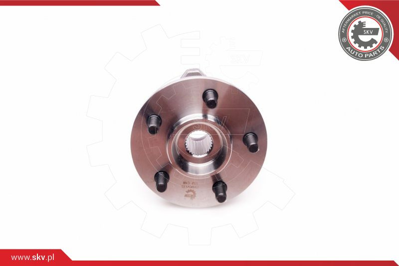 ESEN SKV Radlagersatz