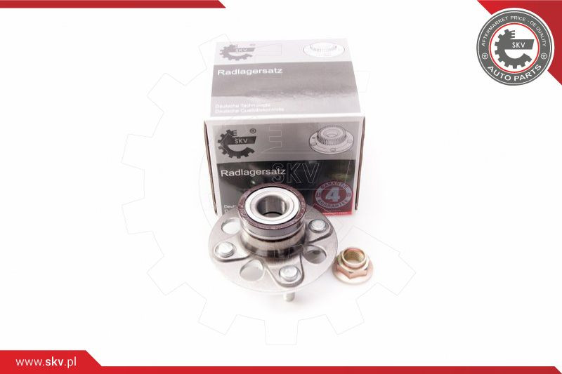 ESEN SKV Radlagersatz