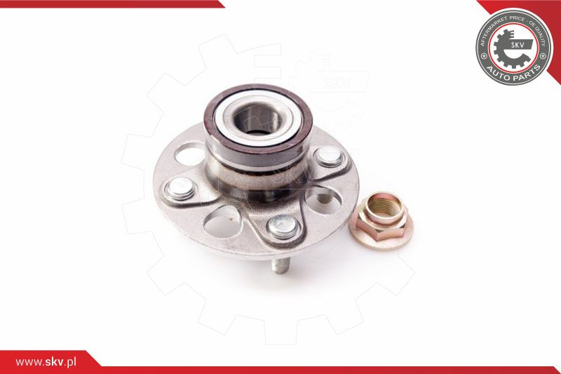 ESEN SKV Radlagersatz