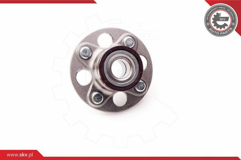 ESEN SKV Radlagersatz