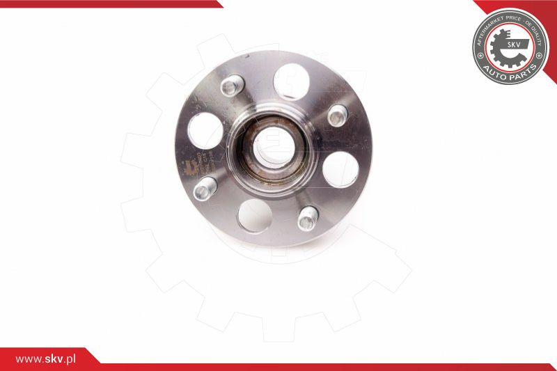ESEN SKV Radlagersatz