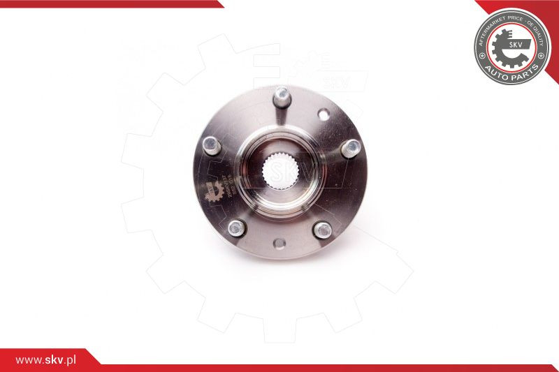 ESEN SKV Radlagersatz