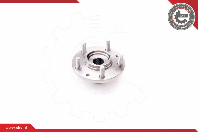 ESEN SKV Radlagersatz