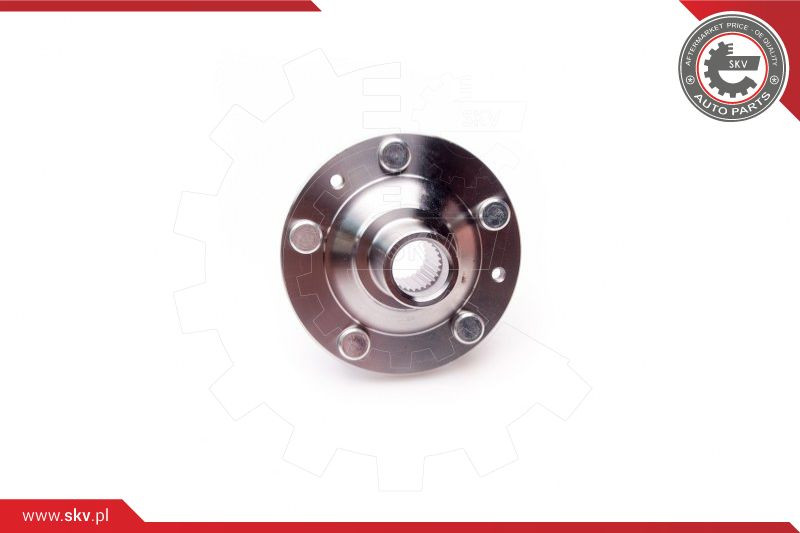 ESEN SKV Radlagersatz