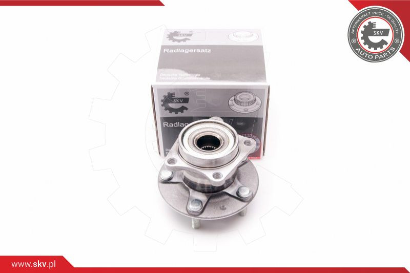 ESEN SKV Radlagersatz