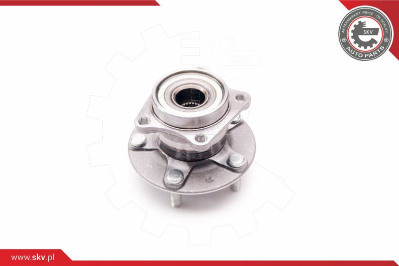 ESEN SKV Radlagersatz