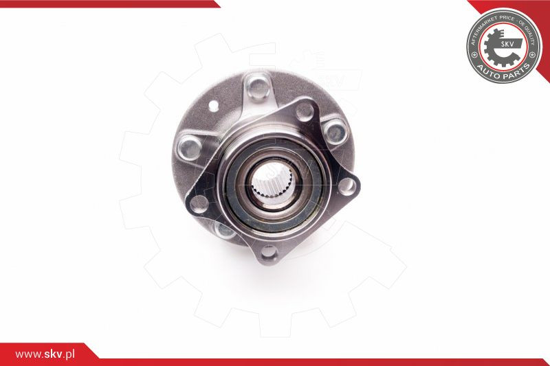 ESEN SKV Radlagersatz