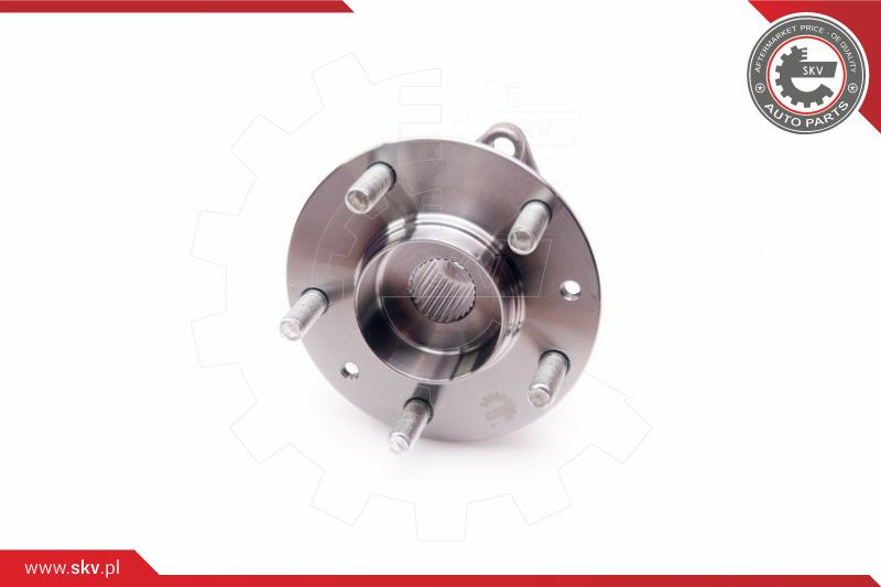 ESEN SKV Radlagersatz