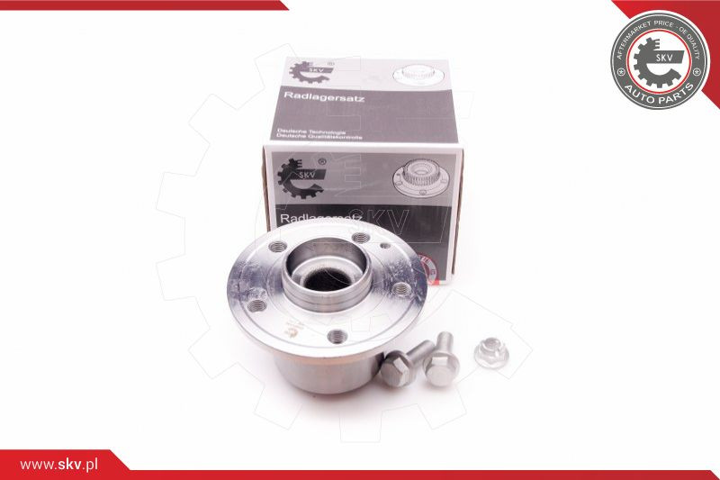 ESEN SKV Radlagersatz