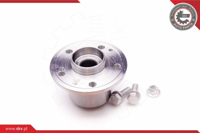 ESEN SKV Radlagersatz